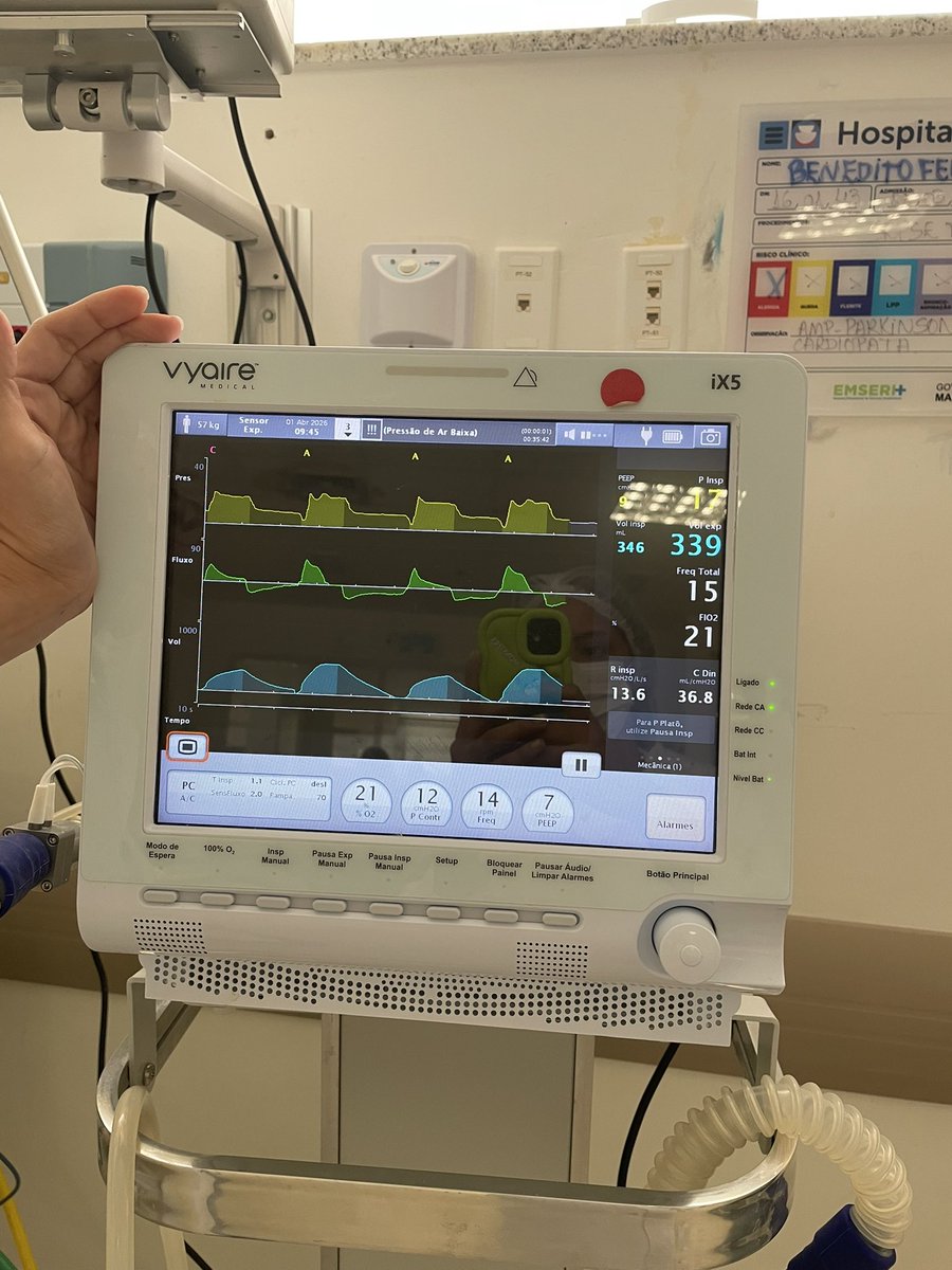 MiauMiau_:) tweet media