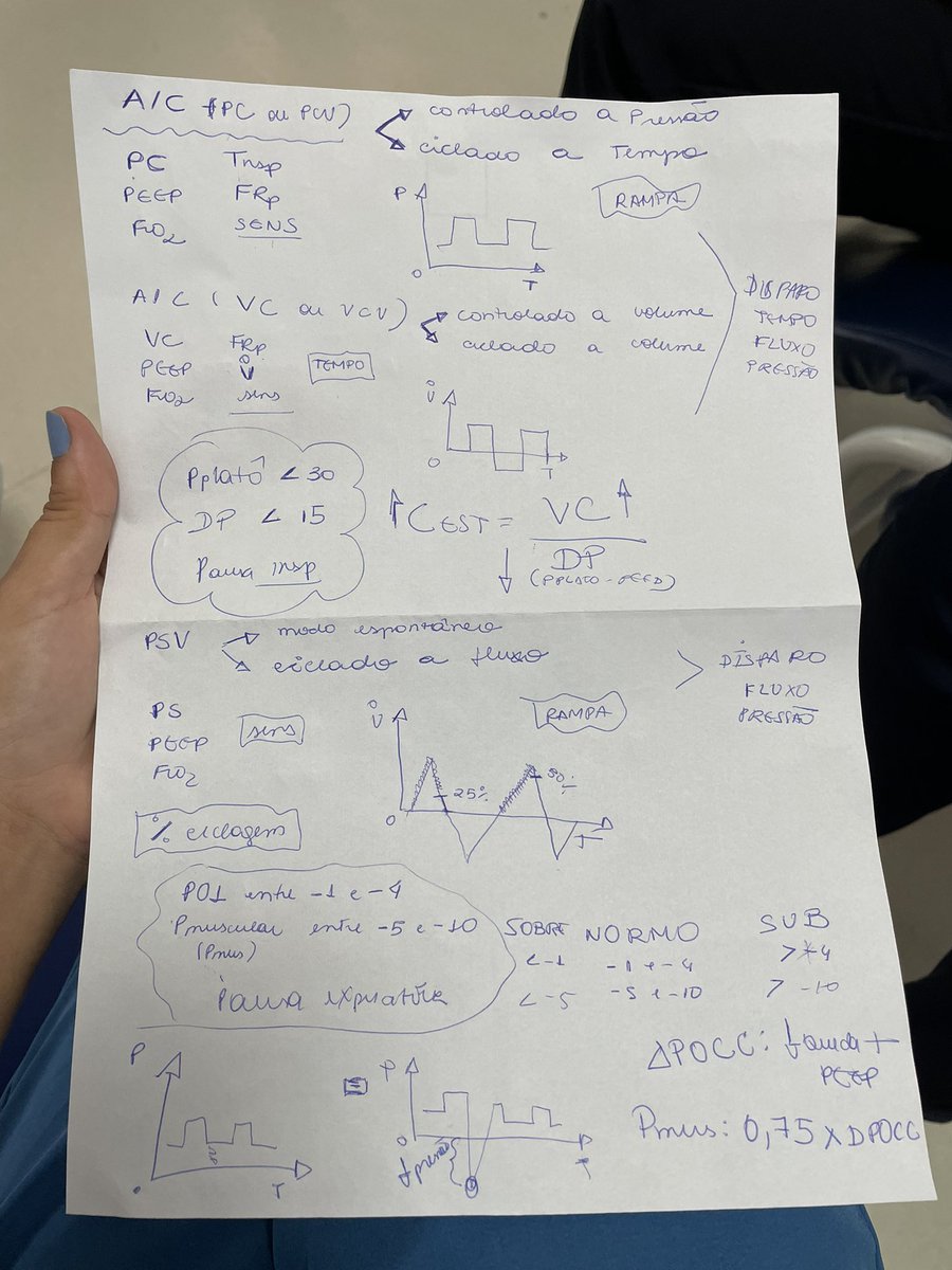 MiauMiau_:) tweet media