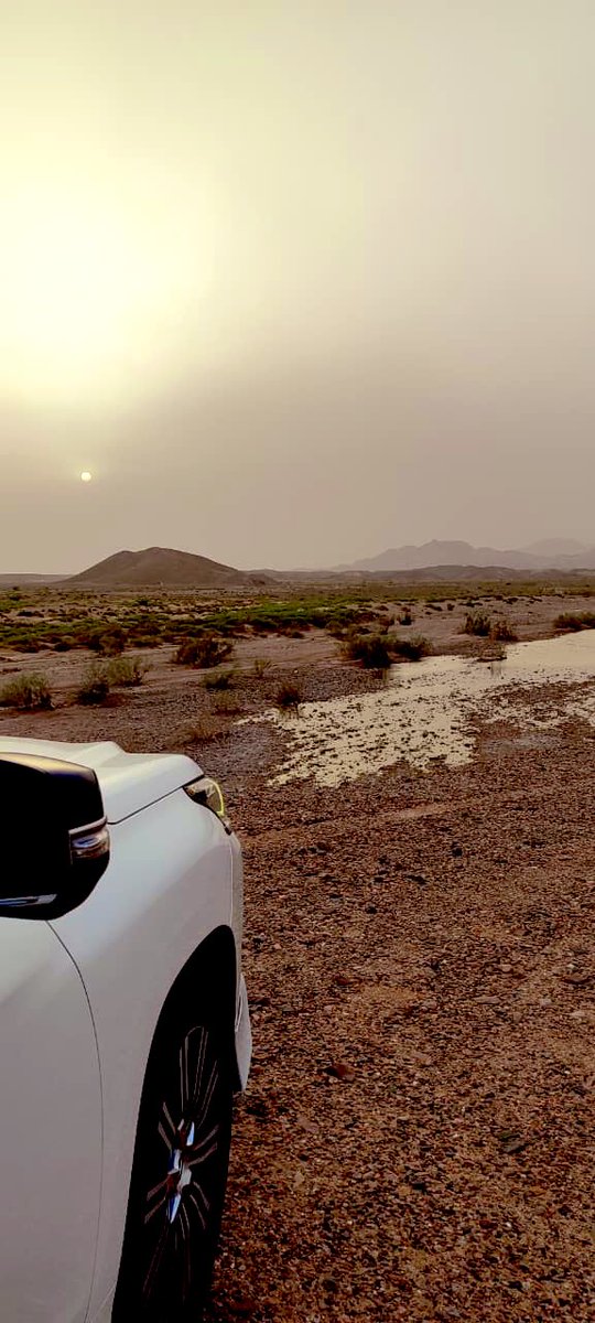 🩶💜@حشيم_الطبع@💜🩶 tweet media