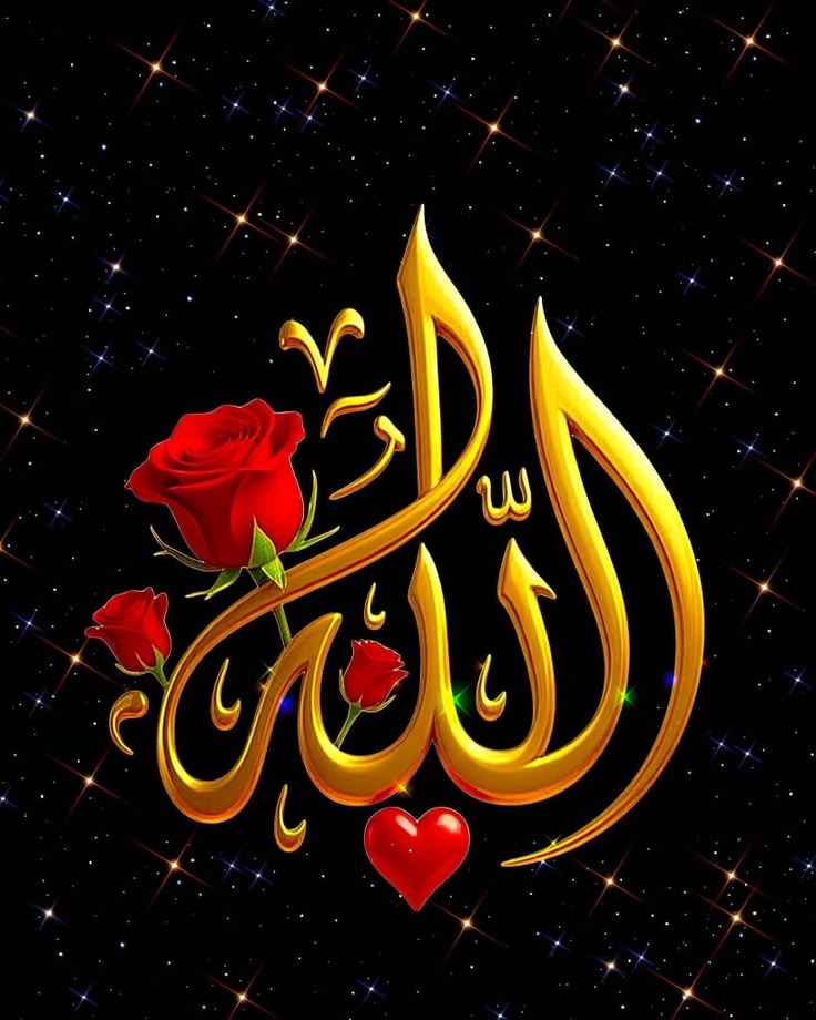 🍁🍁ROMEO 🍁🍁رومیو 🍁🍁 tweet media