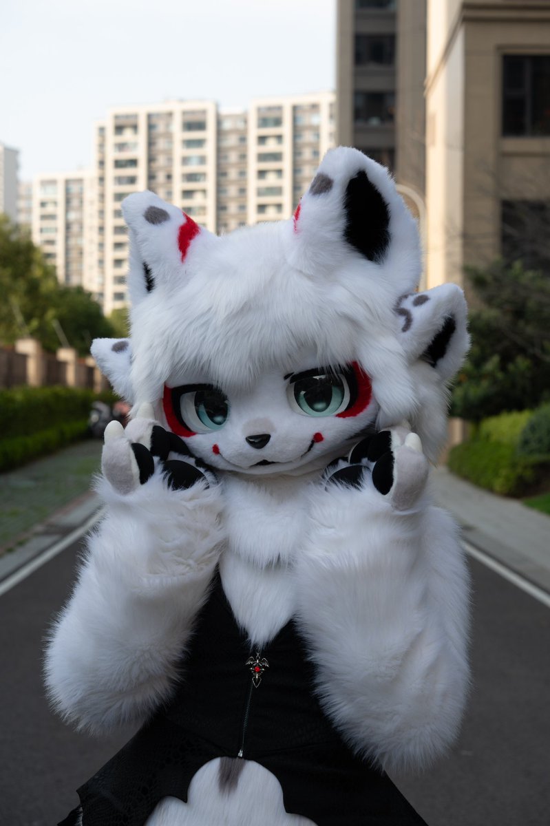 狐煜煜煜 tweet media