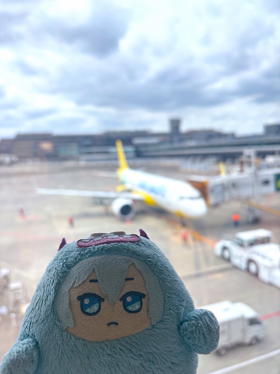 🆕たま tweet media