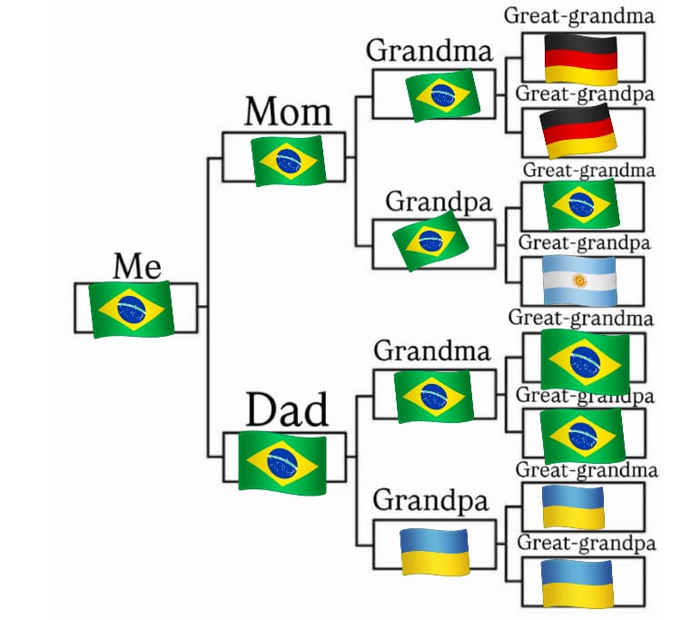 paladino tweet media