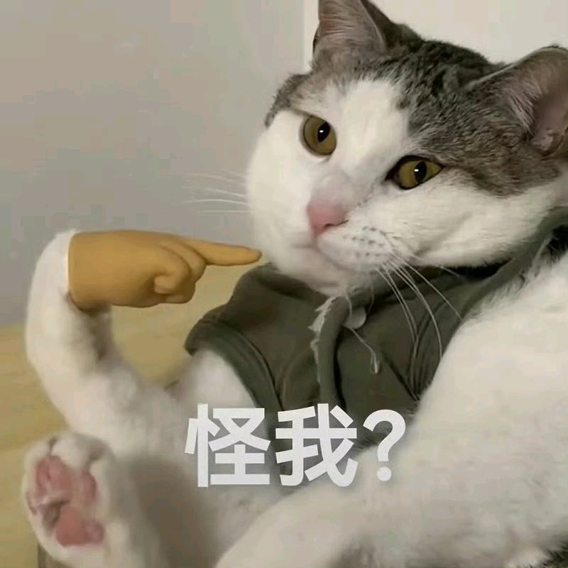 晞辰實驗號 tweet media