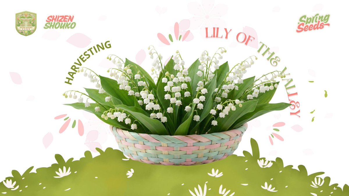 𝗚𝗮𝗿𝗱𝗲𝗻 𝗖𝗼. tweet media