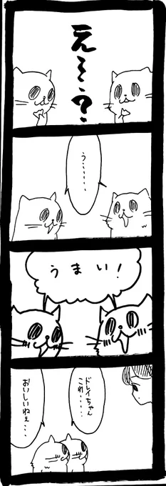 ドワーフキャットタオルちゃん67 