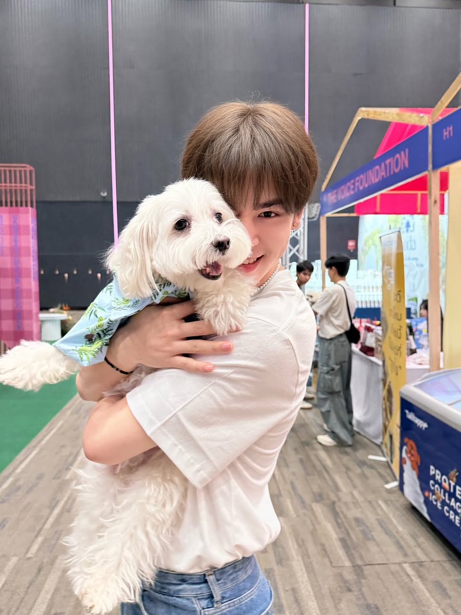 CooperPtpst_PH's tweet photo. My little puppy 🐶

✧⁠*COOPER INSTAGRAM UPDATE !!! ೀ⋆

🔗:https://t.co/aea6qjNLb8
#cooper_patpasit | #cooperpatpasitPH https://t.co/O52Su8FpwY