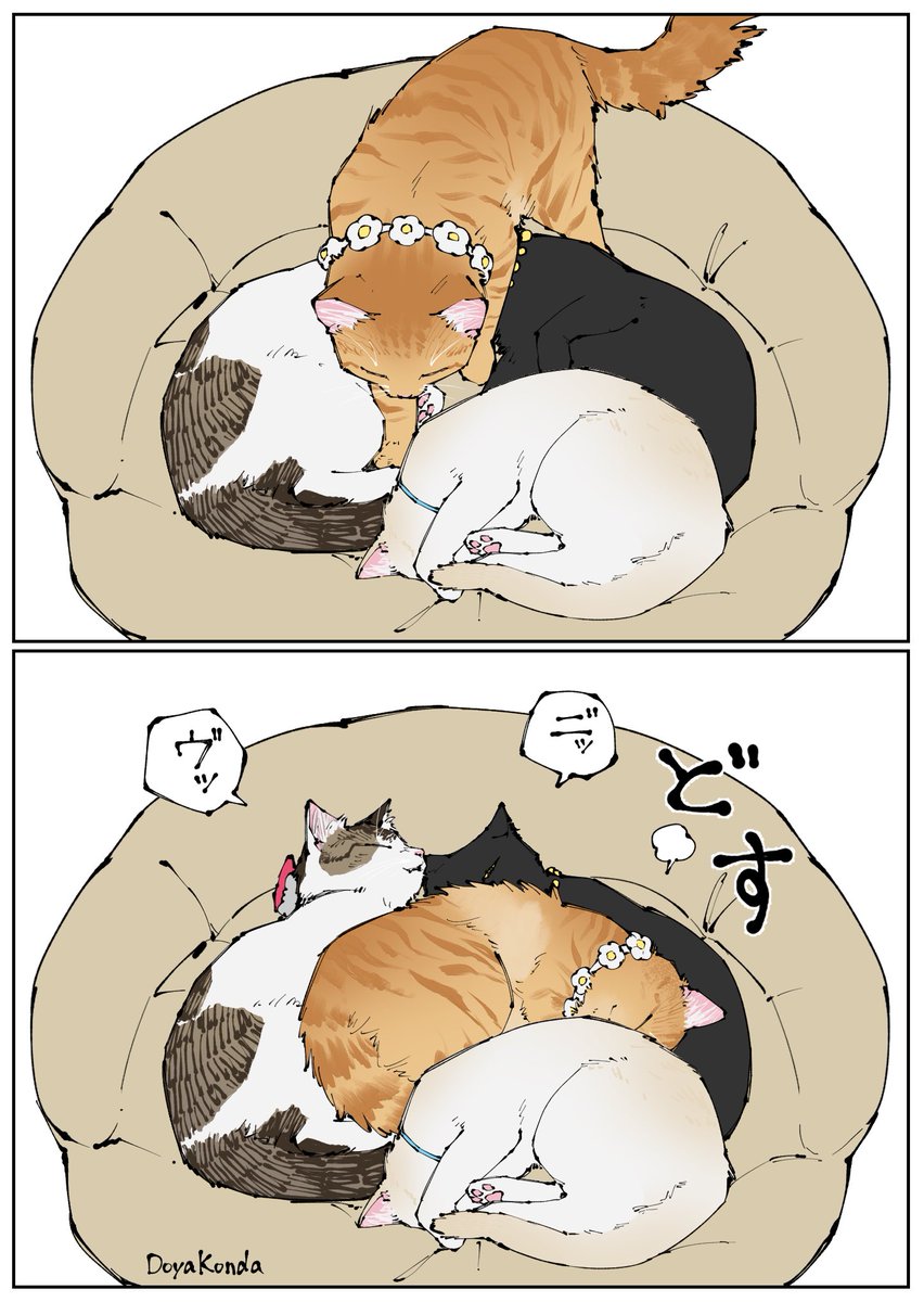 戸屋こんだ tweet media