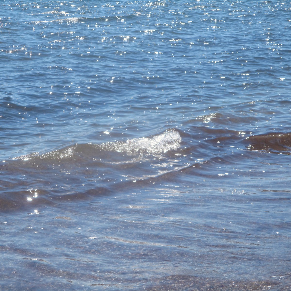 ˚ʚ♡ɞ˚agail˚ʚ♡ɞ˚ tweet media