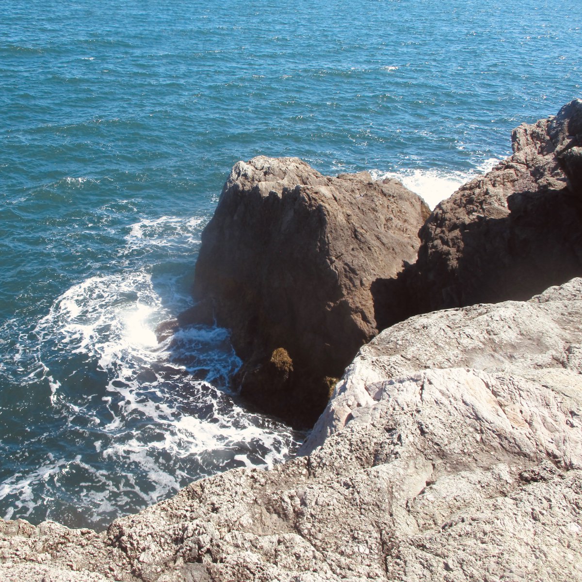 ˚ʚ♡ɞ˚agail˚ʚ♡ɞ˚ tweet media