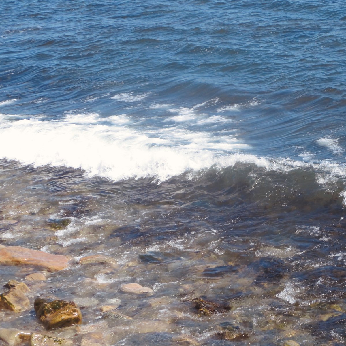 ˚ʚ♡ɞ˚agail˚ʚ♡ɞ˚ tweet media