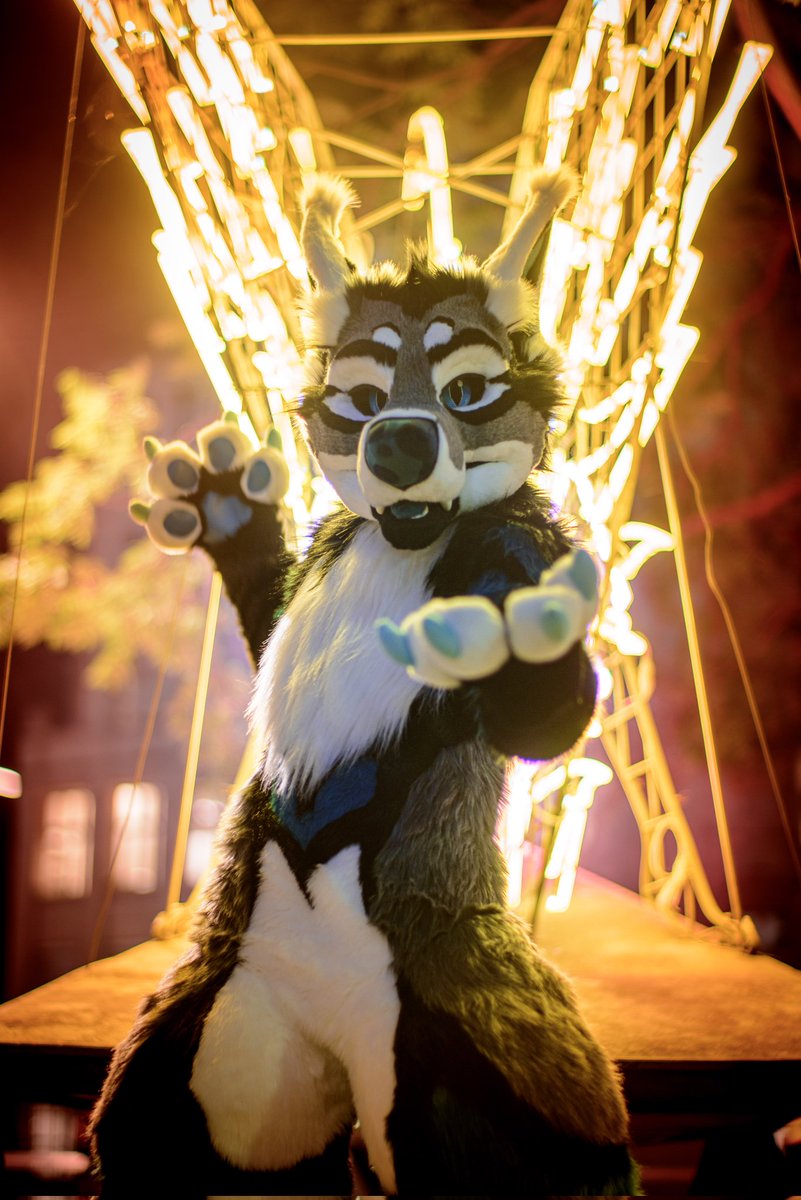 Atheo ➡️ Anthrocon tweet media