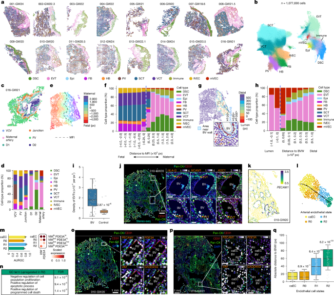 Waggoner Lab tweet media