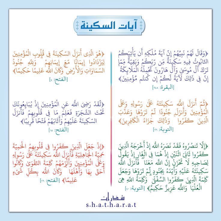 محمد البديري tweet media