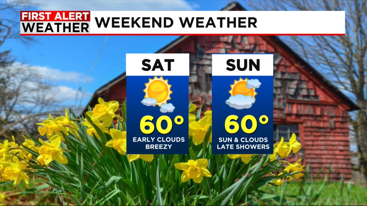 Dan Brown tweet media