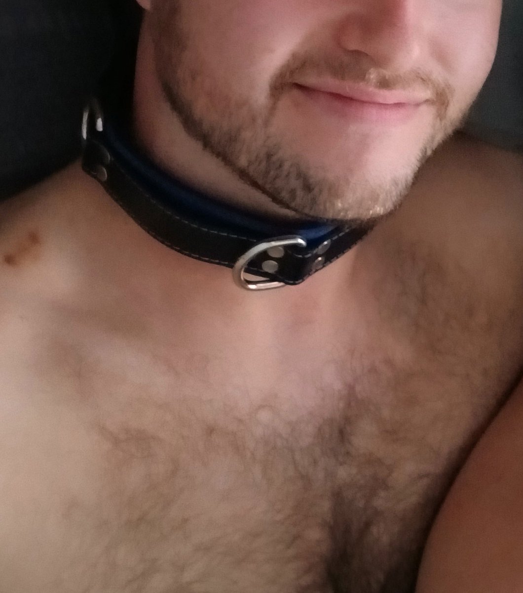 I should wear my collar more #sph #sub #femdom #smallpenishumiliation #domme