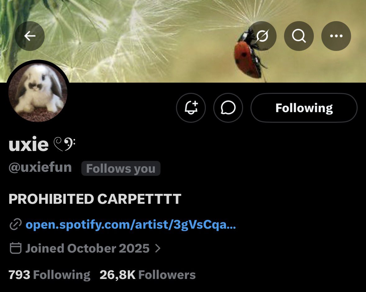 ࿁ 𑄹 ˙ Peter ➛ tweet media