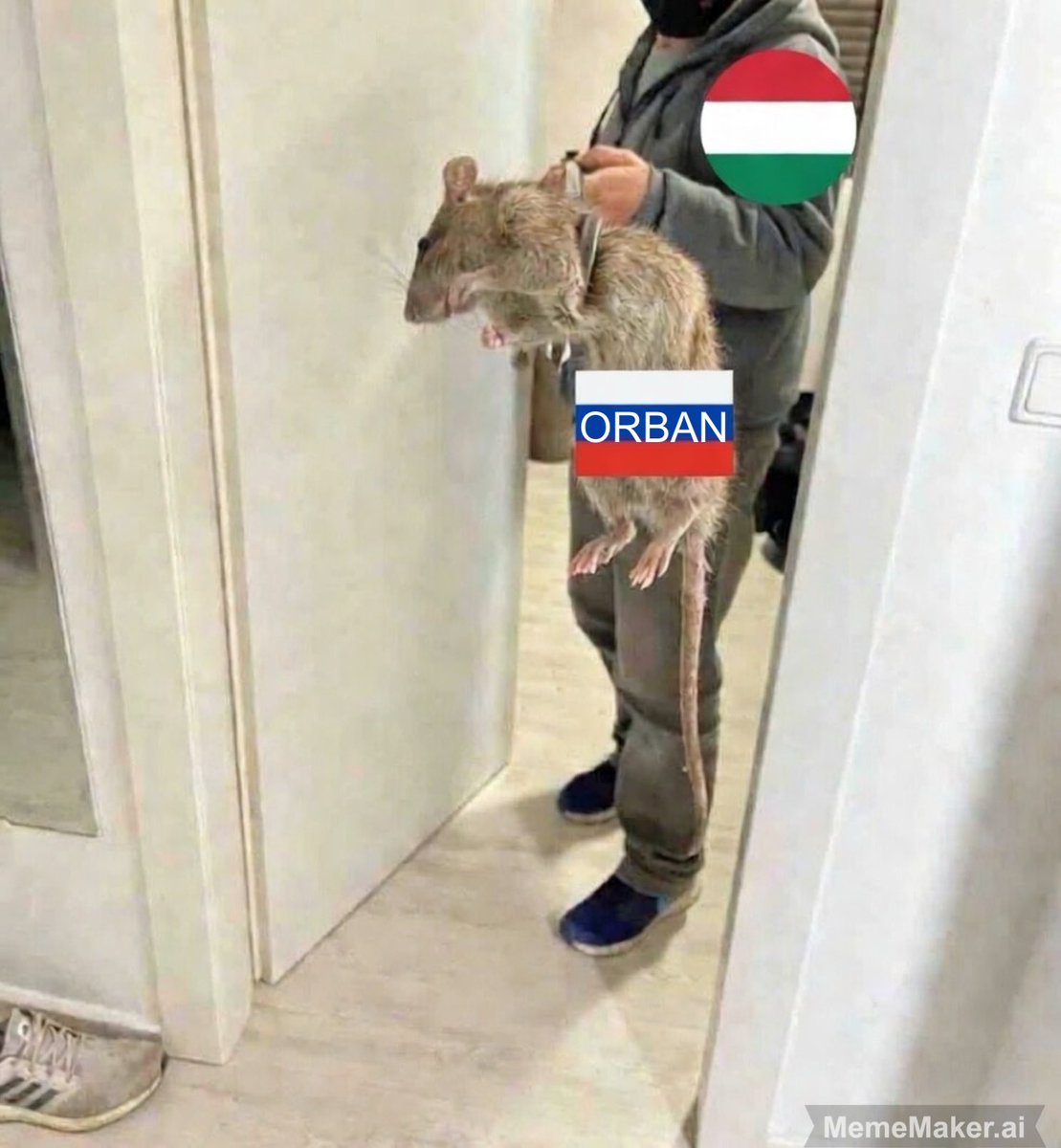Hungarians this Sunday