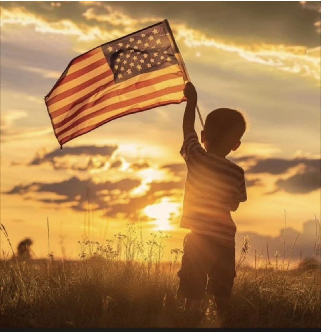 defense_civil25's tweet photo. America! Land of the Free, Home of the Brave! 🇺🇸 https://t.co/SySSIx2Hs1