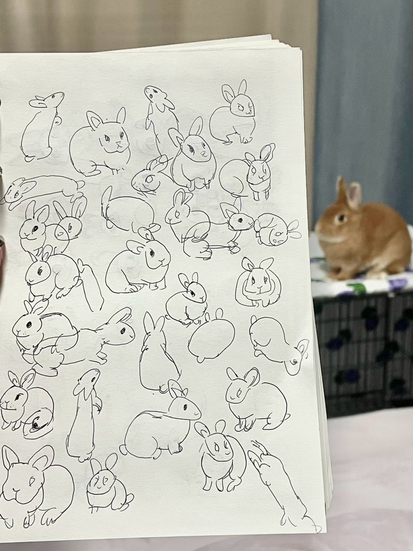 Mousse186468's tweet photo. #bunny https://t.co/aNFn6Ox6Sh