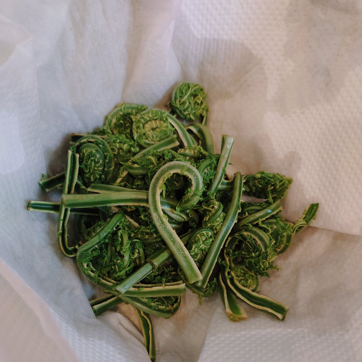 やまだ tweet media