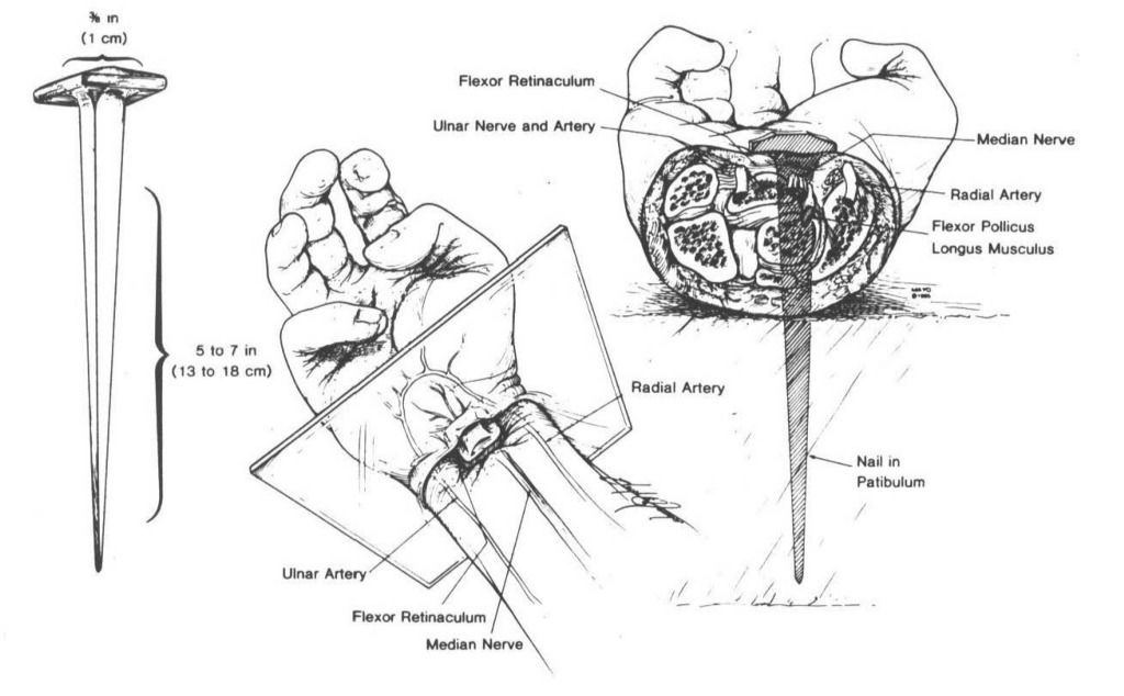 That Catholic Guy 🇻🇦 tweet media