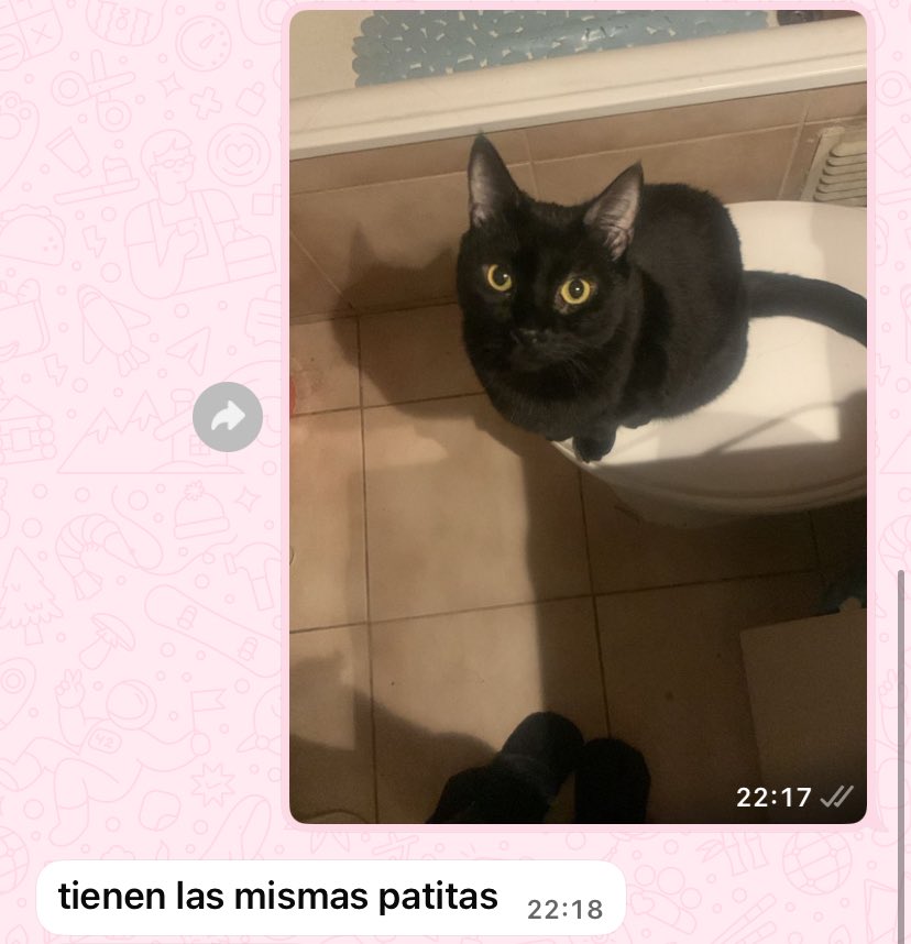 fortunatta tweet media