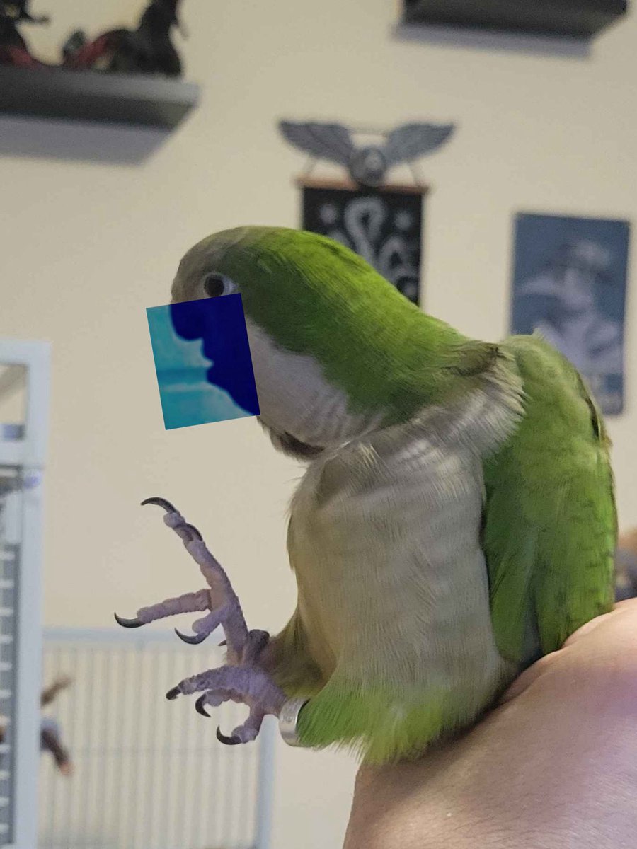 🎶Silver Symphonies 🎵 Composer | LVLUP Expo 2026 tweet media