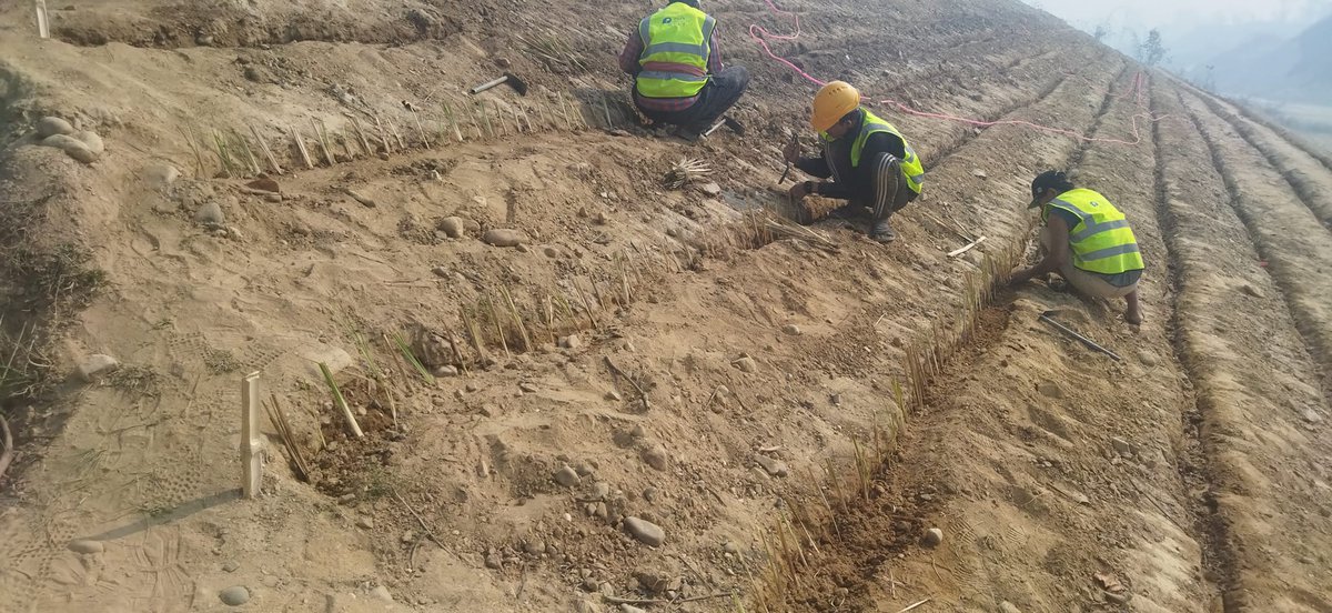 Binod Neupane tweet media