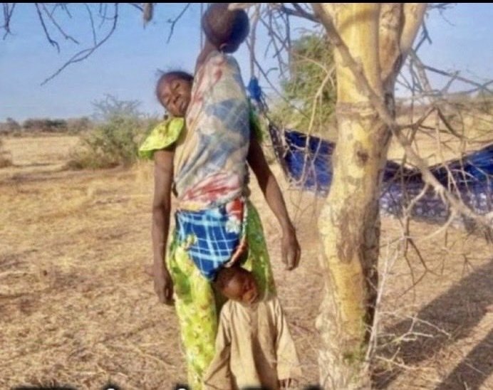 Verdades e Nada Mais 🥇 tweet media