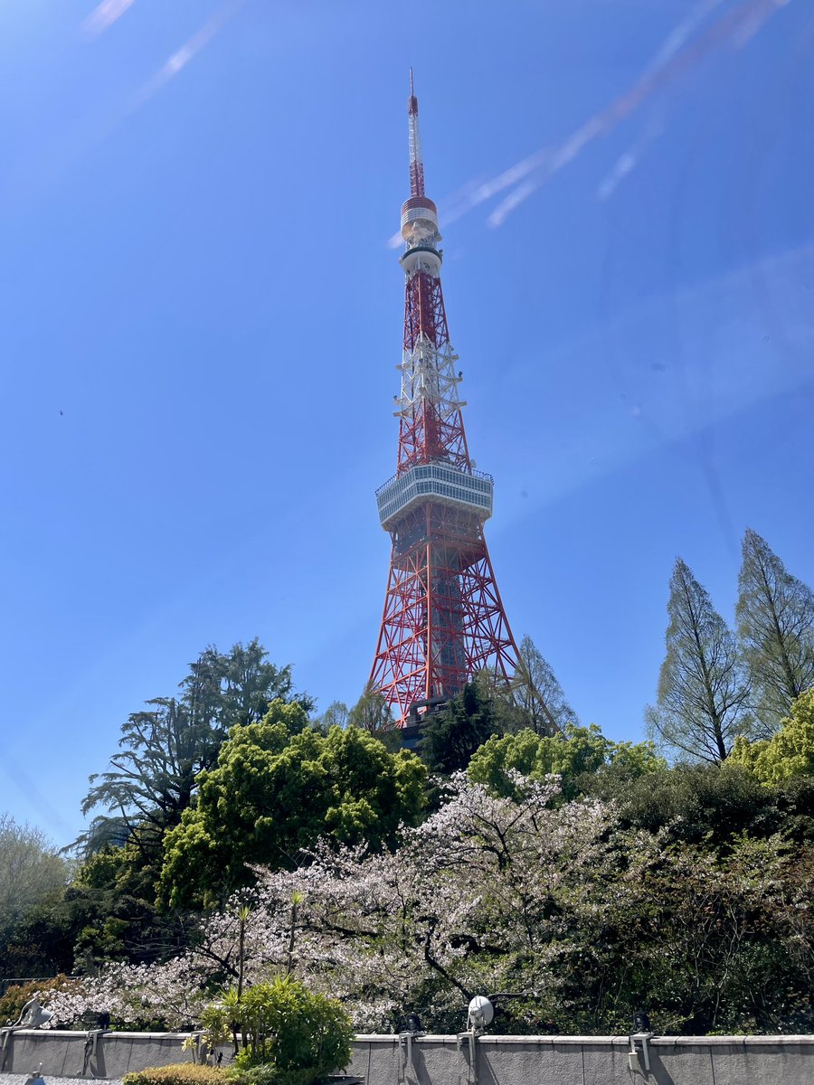 World__Planning's tweet photo. 皆様おはようございます☀️

昨日は、弊社東京オフィスのある東京プリンスホテルにてお花見を楽しみました🌸

芝生テラスの心地よい特等席で、
春のひとときを満喫🥂

葉桜もまた風情があり、とても綺麗でした！

本日もどうぞよろしくお願いいたします✨

#企業公式 
#東京プリンスホテル 
#ピクニック https://t.co/OrGdu9eCLK