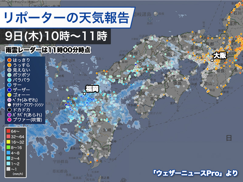 ウェザーニュース tweet media