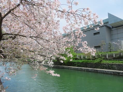 Kyoto no T tweet media