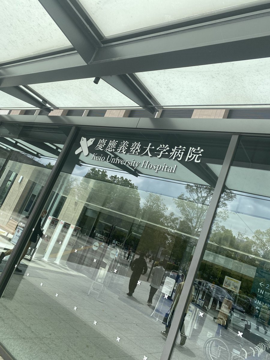 こいけ tweet media