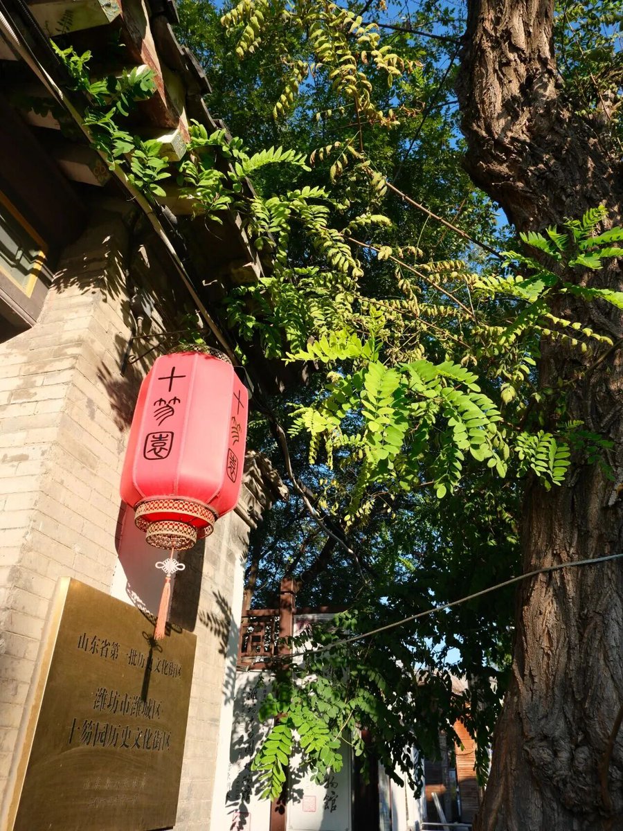 Amazing Weifang tweet media