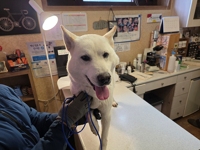 ์ค๋์ ๊ฐ์์ง ์ถ์ฒ tweet media