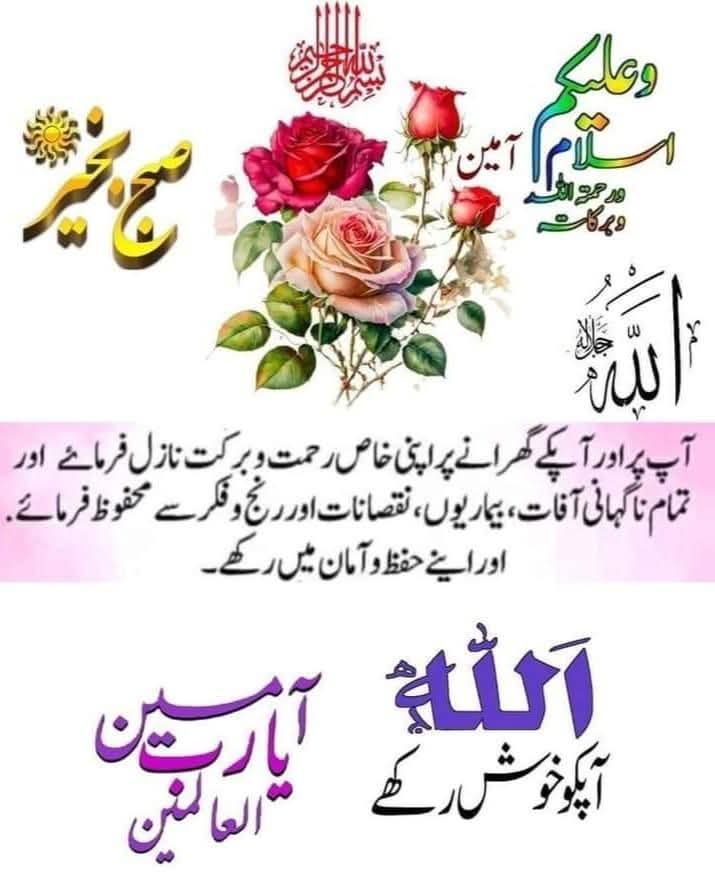 SyedaSherazi tweet media