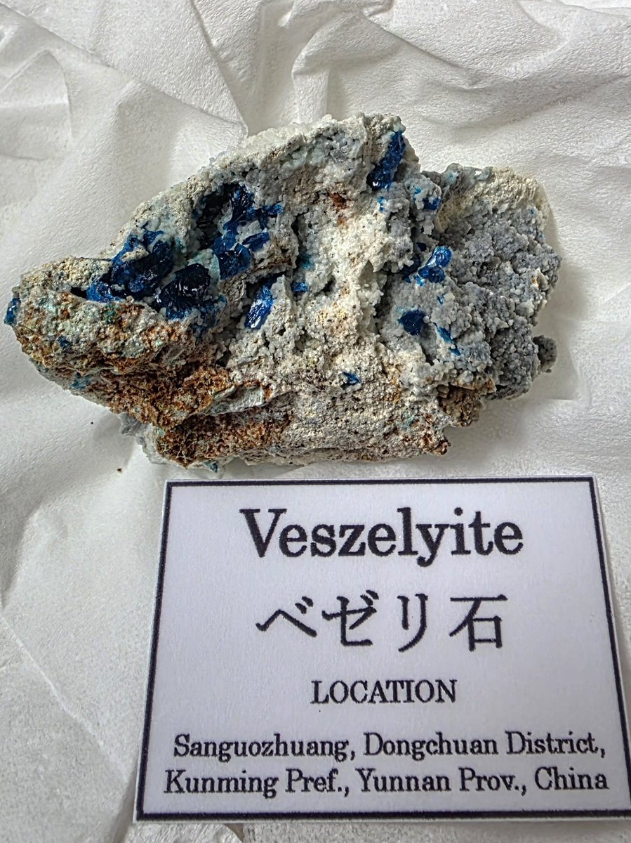 クロネコ tweet media