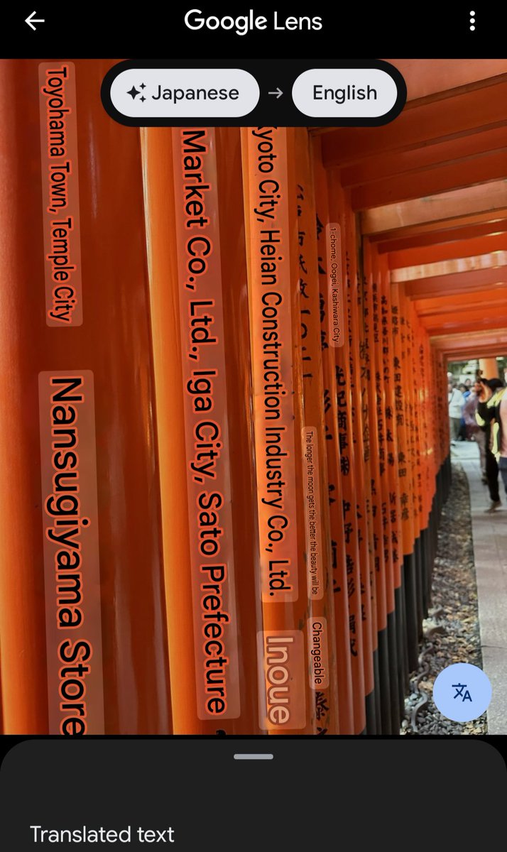 I need to drink a lot tonight so I forget what's actually on these and preserve the mystique when I visit Japan next year.