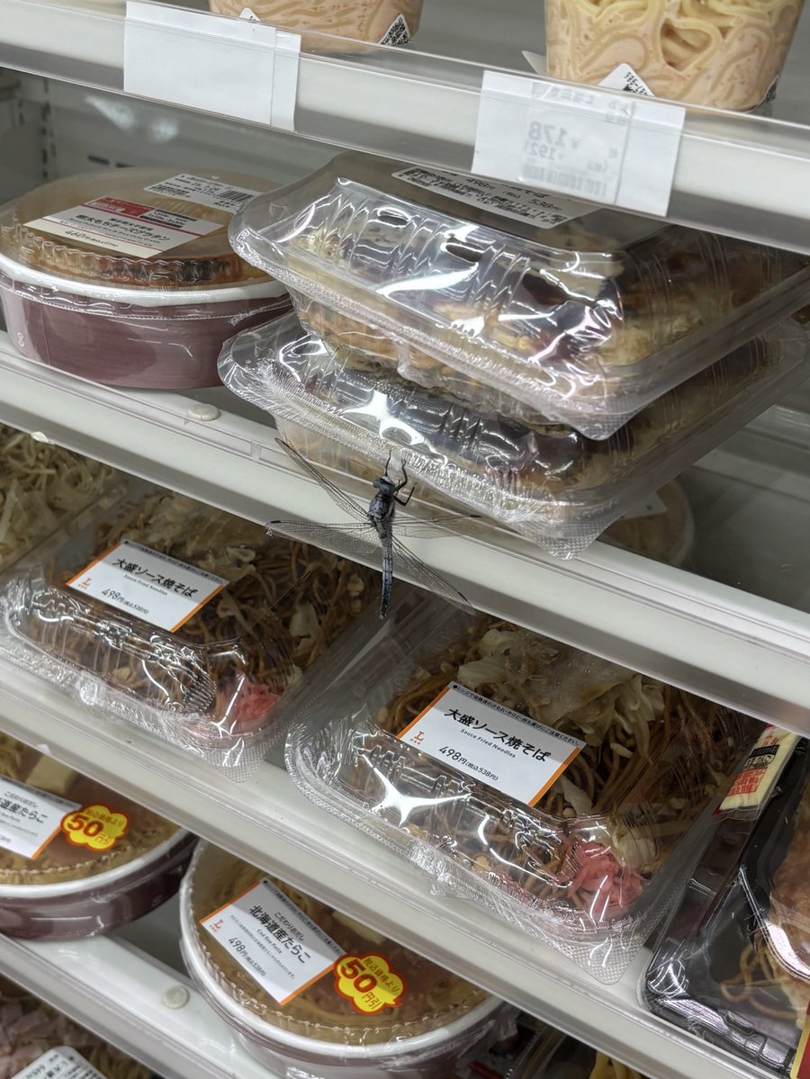 アデ野 tweet media