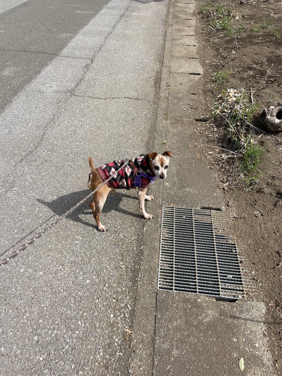 DaISUKE  DARK  SIDE tweet media