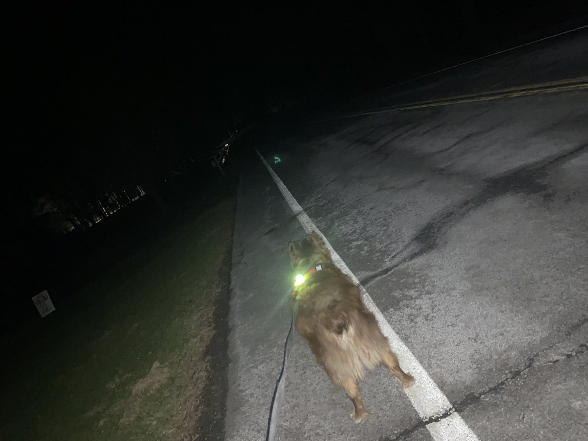 Tim Hardy tweet media