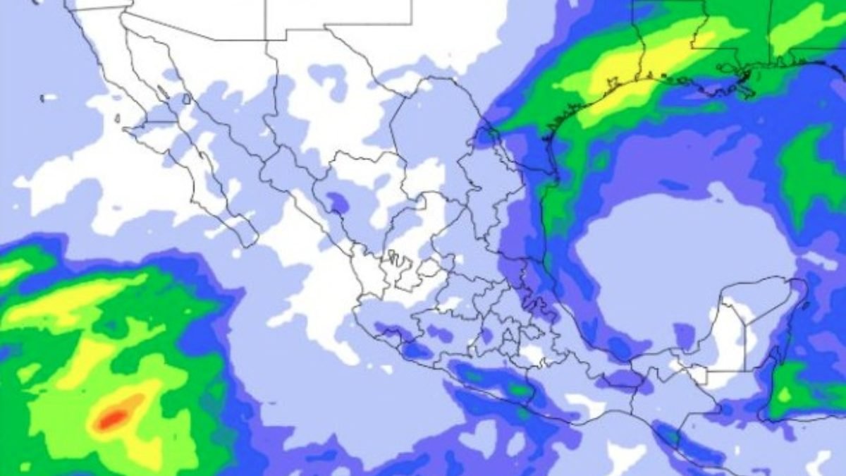 Enséñame de Ciencia tweet media
