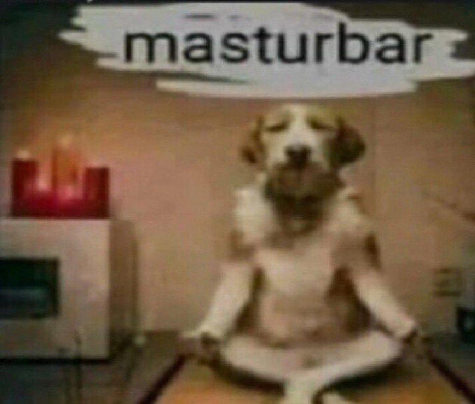 brian guy griffin tweet media