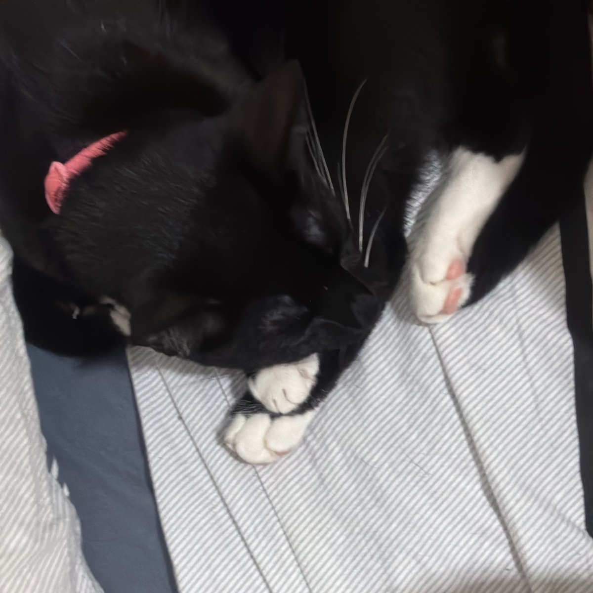 lelelets 💛 tweet media