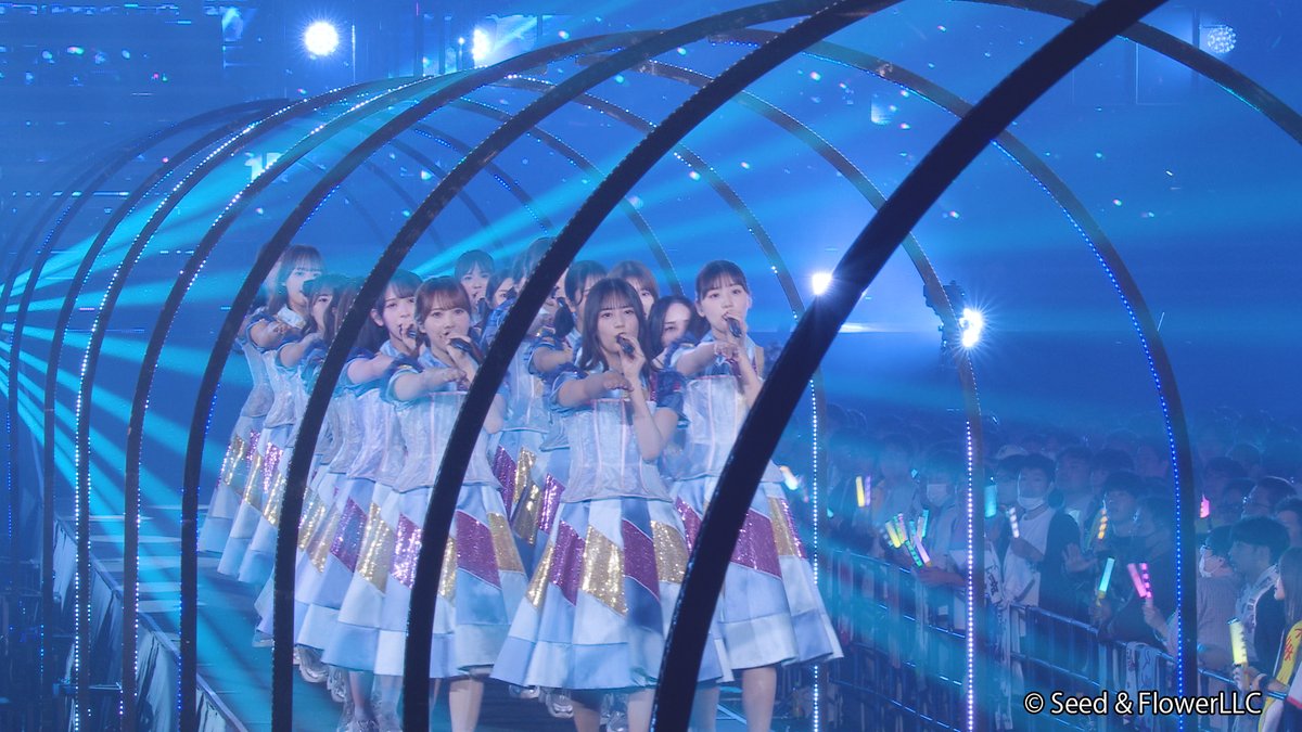 Lemino|レミノ tweet media