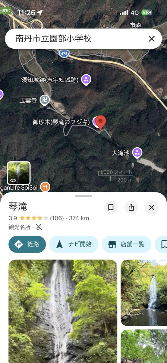 光源氏🇯🇵 tweet media
