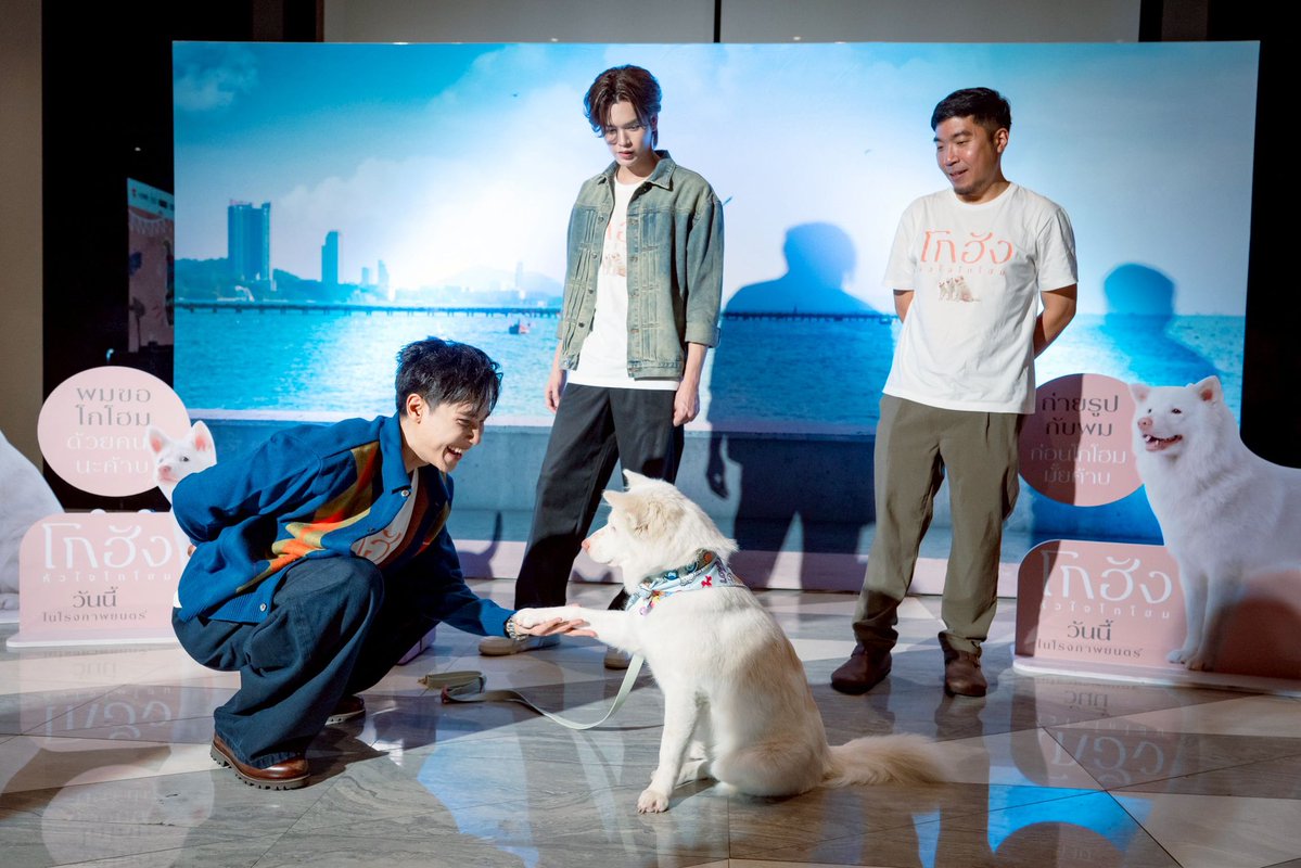 SF Cinema tweet media