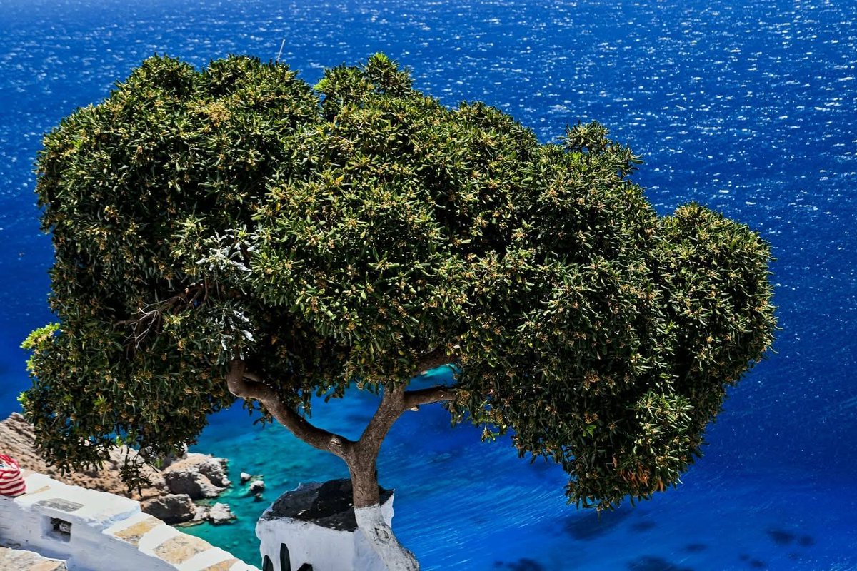 Greece Tours tweet media