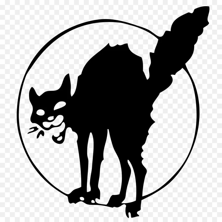 BargSlarg's tweet photo. @Mrionknowyouu @DramaAlert Sabo-tabby https://t.co/y3S5MfgBQz